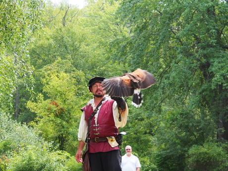 Coming in for a landing