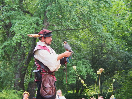 Royal Falconer and his birds #2