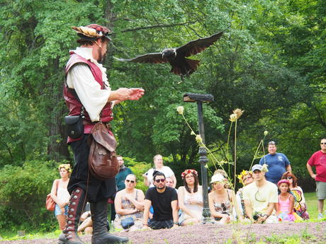 Royal Falconer and his birds #3