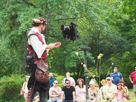 Royal Falconer and his birds #4