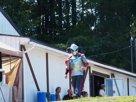 Young patron in costume