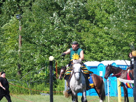 The Silver Knights jousting company #9