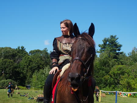 The Silver Knights jousting company #14