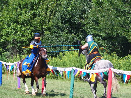 The Silver Knights jousting company #19