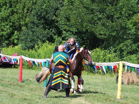 The Silver Knights jousting company #25