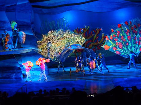 Finding Nemo show #3