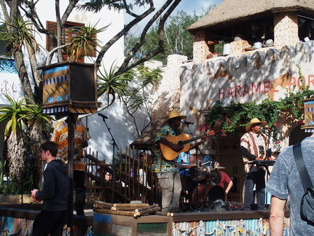 Musicians