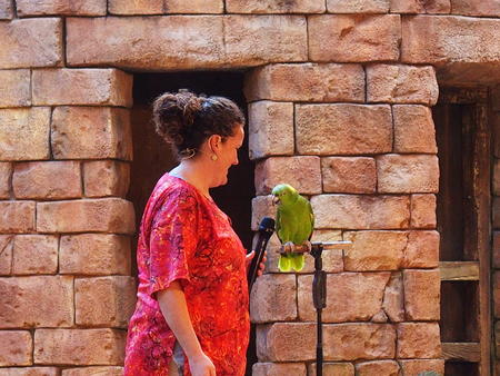 Flights of Wonder bird show #2