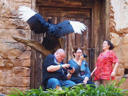 Photographing birds up close #6