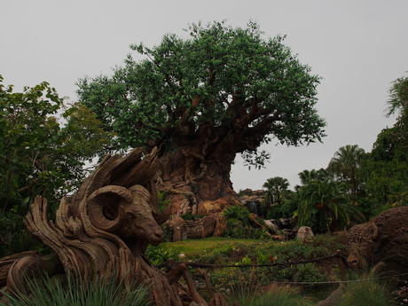 Tree of Life #2