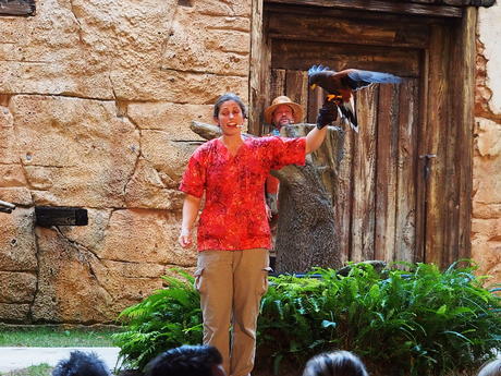 Flights of Wonder bird show #22