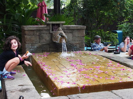 Fountain