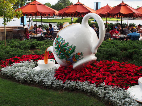 Cup of tea