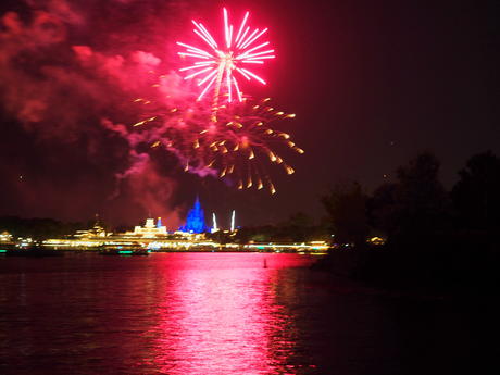 Wishes fireworks (taken from Ferryworks Fireworks Cruise) #5
