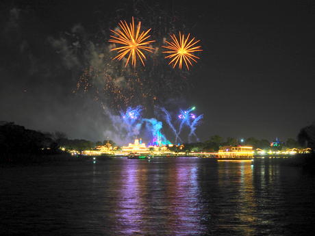 Wishes fireworks (taken from Ferryworks Fireworks Cruise) #15