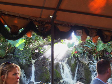 Jingle Cruise #3