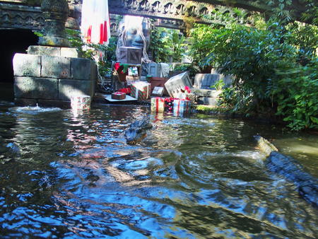 Jingle Cruise #10