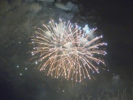 Wishes fireworks (taken from the Polynesian hotel)