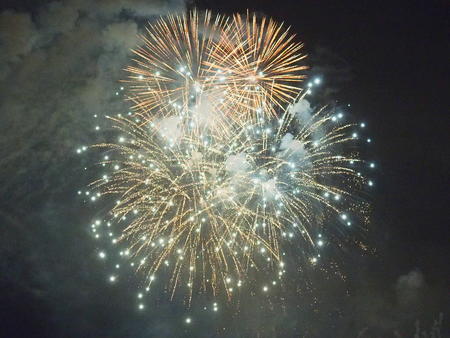 Wishes fireworks (taken from the Polynesian hotel) #2
