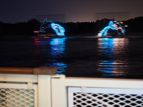 Electrical Water Pagent #2