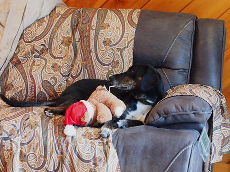 Sophie and her stuffed animal
