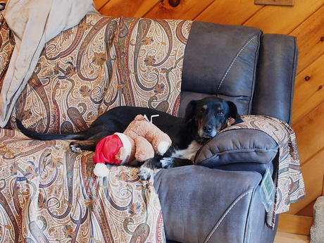 Sophie and her stuffed animal #2