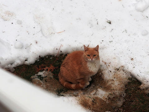 You mean I have to go into the snow?