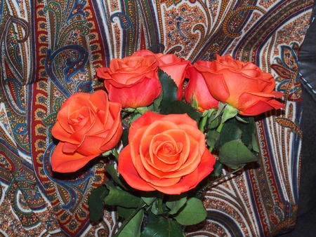 Roses #2