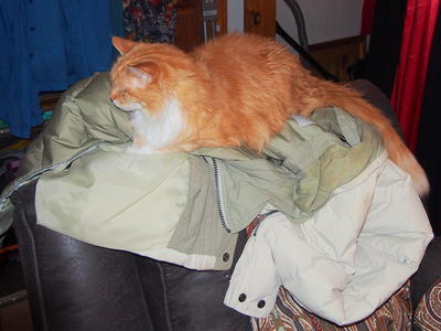 I'll prevent you from leaving the house