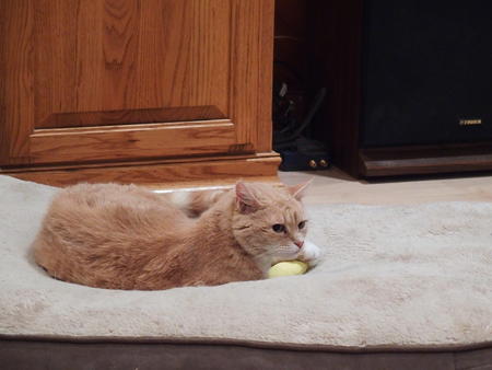 Aerosmith looking pensive