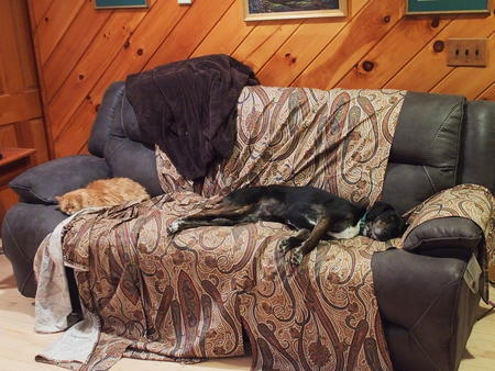 Dividing up the couch