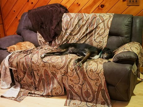 Dividing up the couch #2