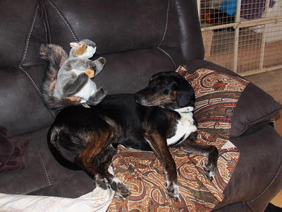 Sophie and the squirrel