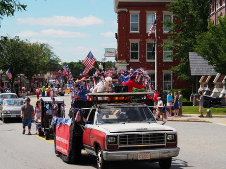 Pampered Pets Day Spa