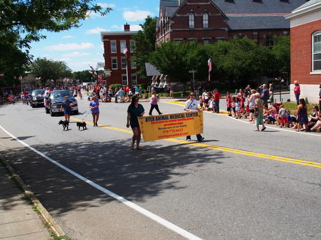 Ayer Animal Medical Center