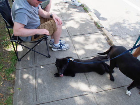 I want to rest in the shade