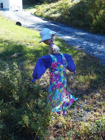 Colorful scarecrow