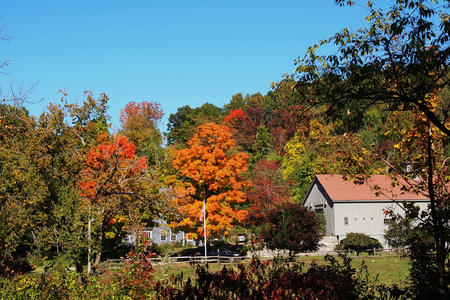Groton fall #2