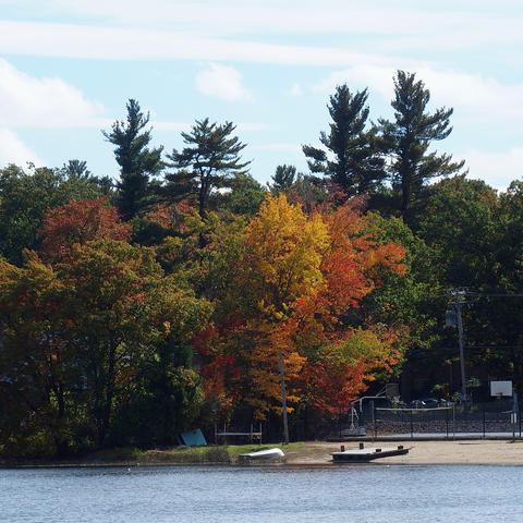 Waiting for summer swimmers