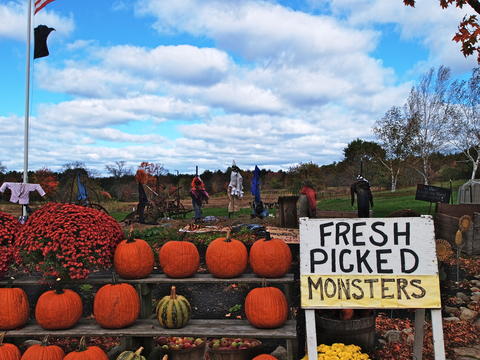 Fresh picked monsters #2