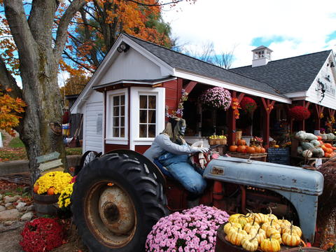 Springdell farm, Littleton, MA in fall #2