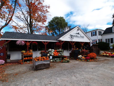 Springdell farm, Littleton, MA in fall #4