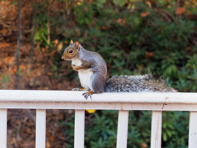 Thanks for the birdseed