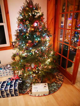 Our 2016 Christmas tree