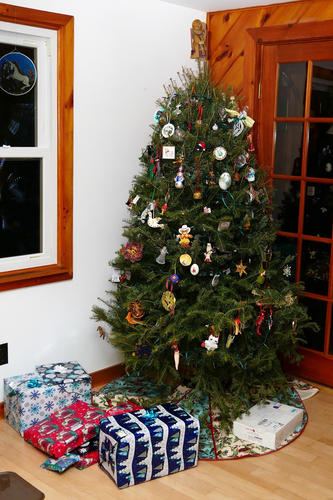 Our 2016 Christmas tree #2