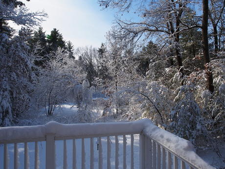 Winter from our back porch