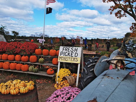 Fresh picked monsters