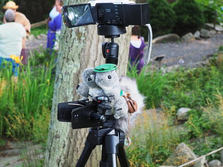 Nutzo and Livinea at Abbadia Mare