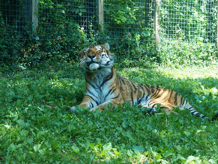 The sun is in just the right spot