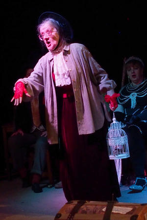 Old Howard Troupe #11